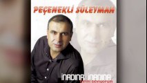 Peçenekli Süleyman - İnadın İnadına (Full Albüm)