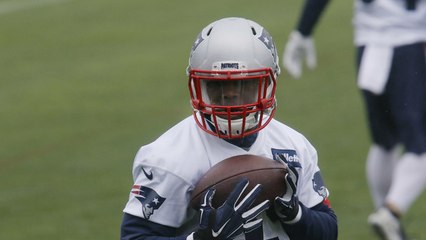 James Palmer: Patriots running game will be more versatile less predictable in 2017