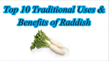 Top 10 Traditional uses & Benefits of Raddish