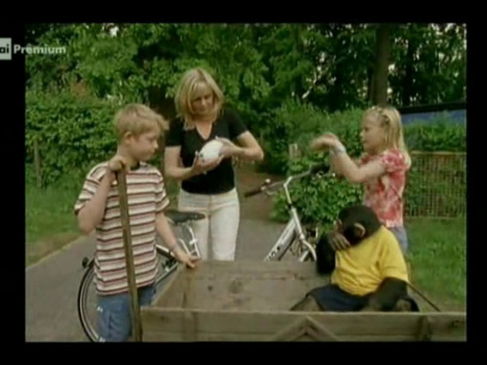 Il nostro amico Charly 9x05 - Charly e la femmina di zebra