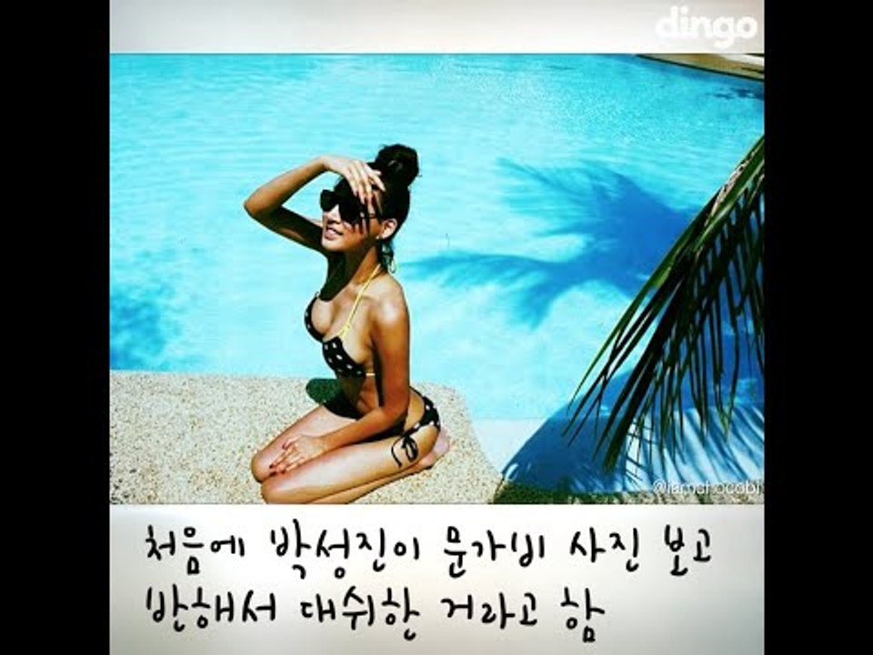 [딩고하이] 박성진 문가비 편