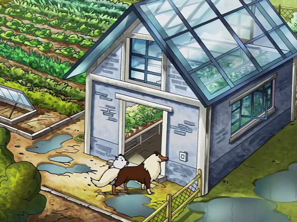 Horseland: SARAH NE RENONCE JAMAIS / MARIE ET CHILI / LE CHEVAL DU FANTÔME | Compilation 1 Heure [1]