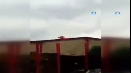 Çatıya Çıkan Kedi Türk Bayrağını Böyle Açtı