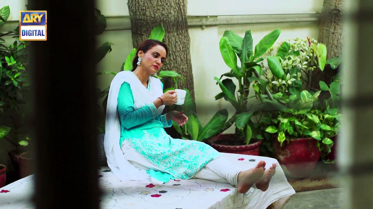 Mein Mehru Hoon Ep 227 - 2nd August 2017 - ARY Digital Drama