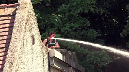Vienna zoo elephants go for dip to cool off in summer heat