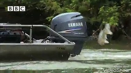 uçan balık rabim yeryüzünde nice güzel şeyler yarattığı halde halen ke-efir olanlara yazıklar olsun