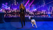 Sara Carson and Hero_ Dog and Trainer Showcase Adorable Routine - America's Got Talent 2017