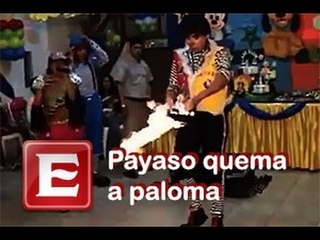 Paloma muere durante acto de payaso