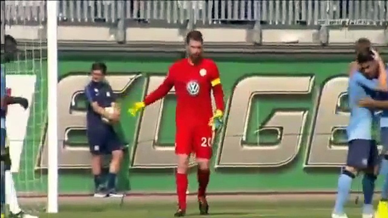 Newcastle - Wolfsburg 3-1 Highlights