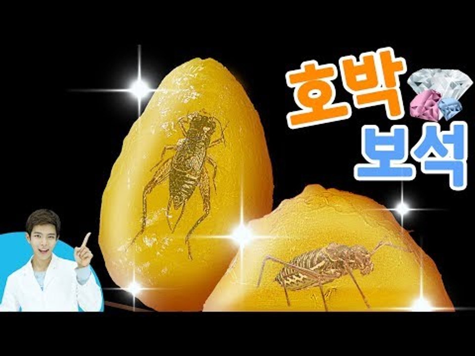 [시크릿 과학 실험] 보석 안에 곤충이 있다?! 캐빈의 호박 보석 만들기 l 캐리앤 플레이
