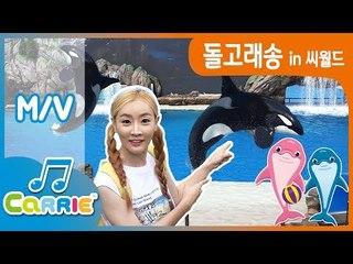[키즈 동요] 엘리와 함께하는 '내 친구! 돌고래 송' in 미국 샌디에고 씨월드 | 캐리앤 송