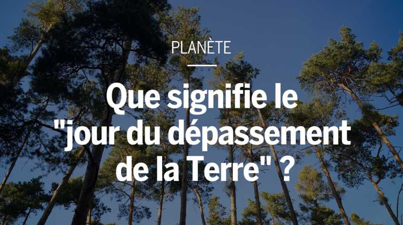 Jour du dépassement de la Terre : « Il faudra surexploiter les écosystèmes et compromettre leur capacité de régénération »