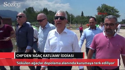 CHP’den ‘ağaç katliamı’ iddiası