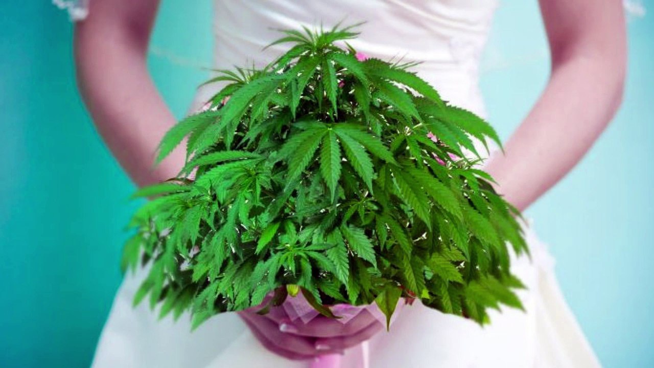 Pot Bars at Weddings Can It Trend Without Marijuana Legalization