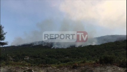 Report TV - Zjarri në Llogara