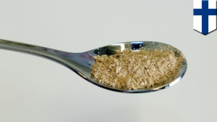 Scientists make food from electricity and thin air