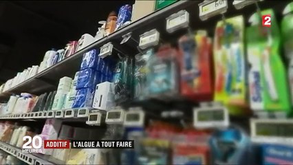 Additifs : le boom des algues marines