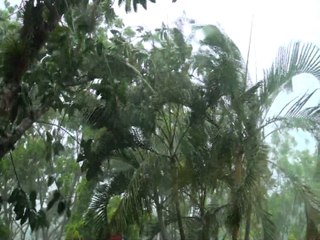 Continuaran lluvias según COPECO