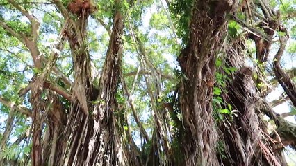 Volé mi DRON por el LAGO de LAVA (HotSpanish Vlogs)