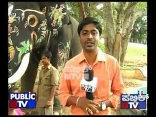 ARJUNA RELAXING IN MYSORE after jamboo savari