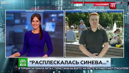 Russian Reporter Punched In Face During Live Report