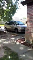 Toddler Will Only Respond When Called Like A Puppy