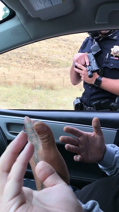 Cop Draws out Gun for a Traffic Stop