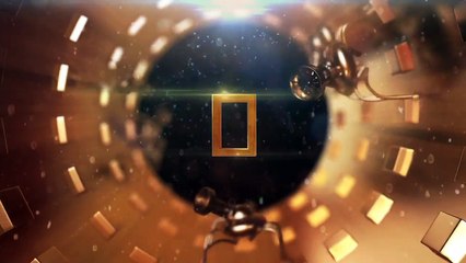 The Great Human Race