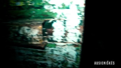 The Hidden Price of Eggs (LT) | investigation video | KLASI EDGAR portfolio