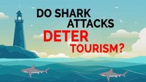 Do shark attacks deter tourism?