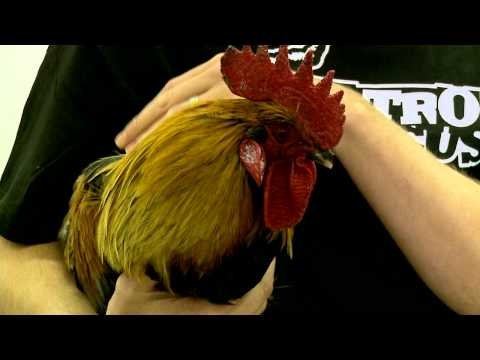 Nitro Circus 3D Movie - Behind The Scenes Photo shoot