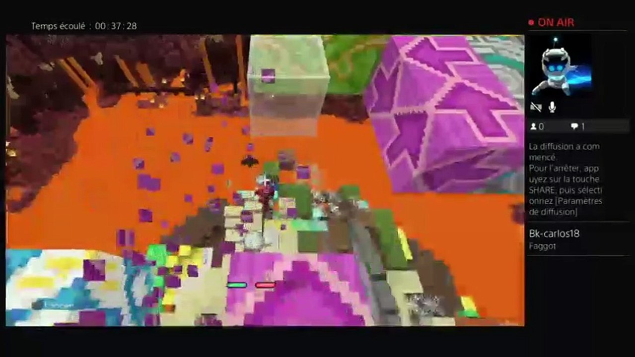 Minecraft (25)