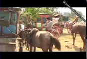 Myanmar Tv   Min Yar Zar , Pwint Nadi Maung Part 1
