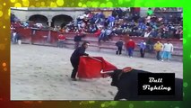 bull fighting so funny videos - bullfighting accidents