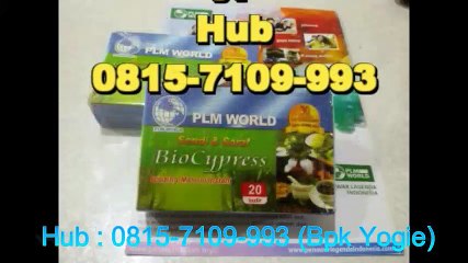 0815-7109-993, BioCypress Jakarta, Testimoni Bio Cypresss