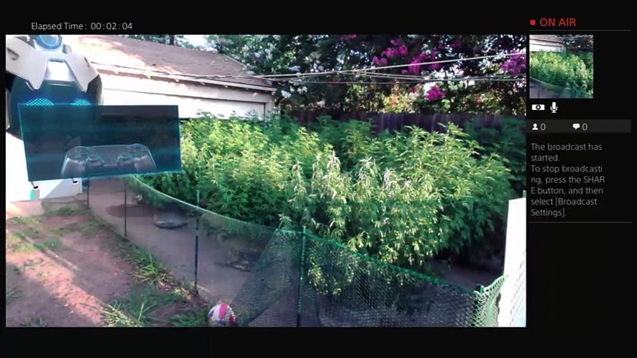 Day off smoke up (830)