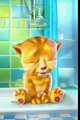 Talking Tom Cat Punjabi Billi Very Funny Video Clips 2016 - Funny Cats Videos