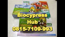 0815-7109-993 | Jual BioCypress Surabaya, Obat Sendi Surabaya