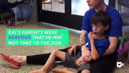 Amazing moment when boy meets his service dog