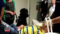 Service Dog Cuddles 9-Year-Old Boy with Autism While Lying in Hospital