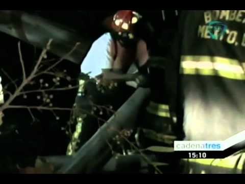 Caen árboles en el D.F. debido a las fuertes ráagas de viento