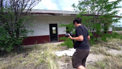 HORRIFYING : Attacked by Killer Bees in Abandoned Desert Lodge
