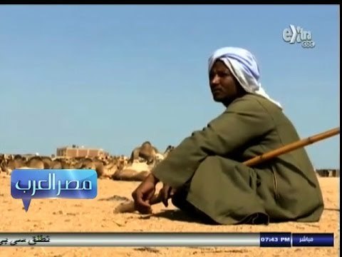 #مصر_العرب | حلايب وشلاتين.. مثلث الخير