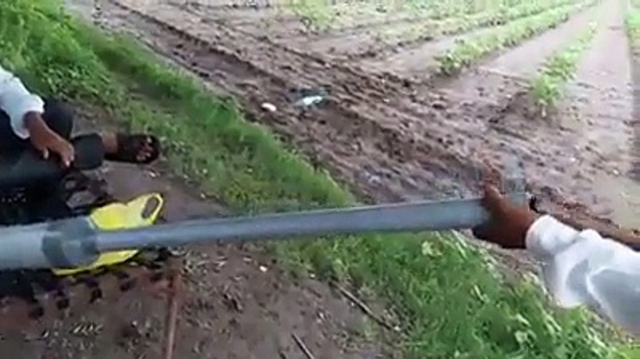 FUNNY FARMER GUN