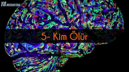 Sizi Zorlayacak 6 Kafa Karistiran Zeka Bulmacasi