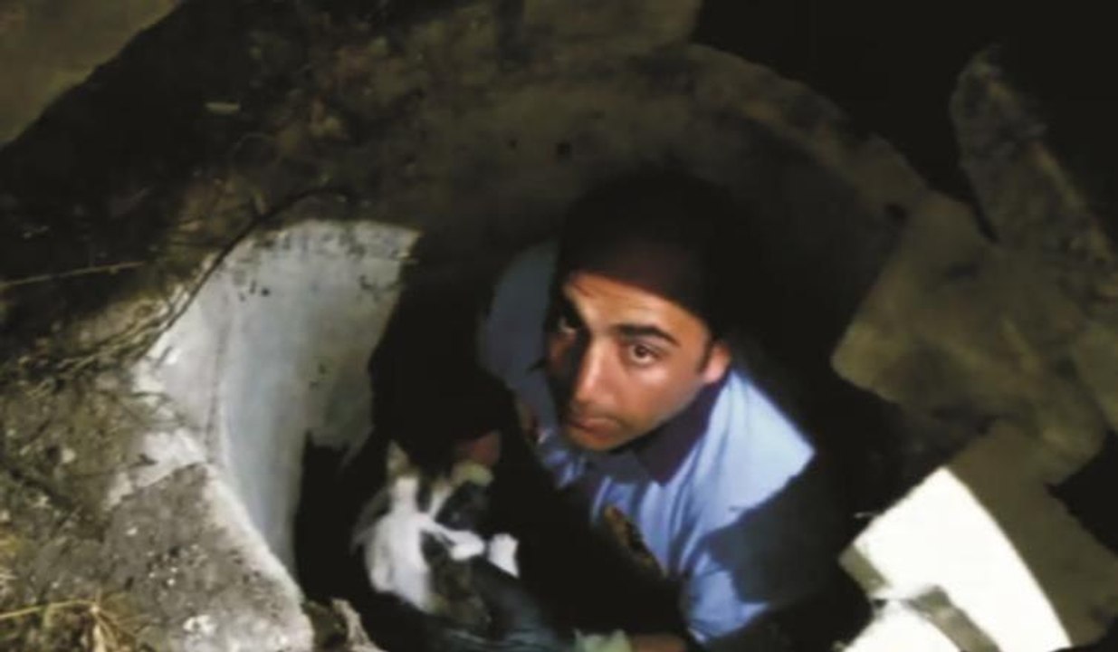 Minik kedi için gece yarısı seferberliği