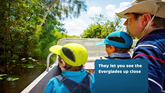 How to Maximize Your Experience on Airboat Rides in the Everglades