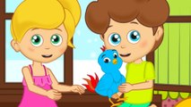 Mini Mini Bir Kuş - Sevimli Dostlar Çocuk Şarkıları | Okidokido