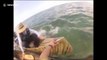 Des pêcheurs en canoés attaqués par des requins qui veulent les basculer !