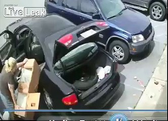 Elle vole une maison de poupée à 1000€... ça rentre pas dans la voiture !